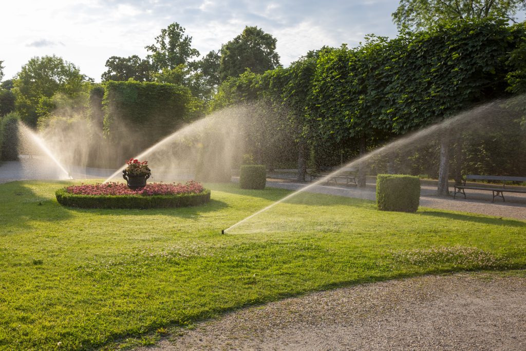 Aspersores que riegan el césped y los parterres de un jardín formal con setos recortados, árboles y jardineras en un día soleado.